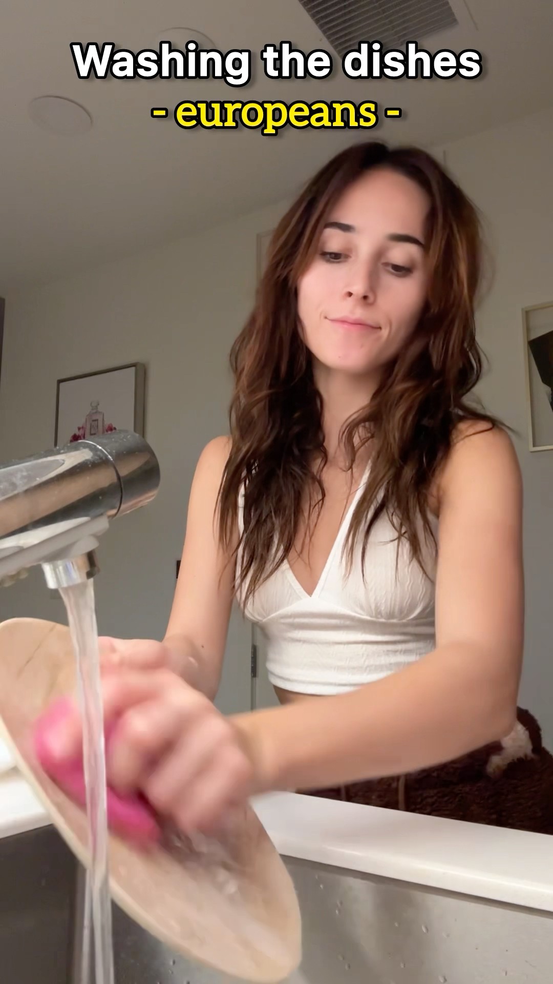 Europeans VS Americans when they wash the dishes ? | Andra Gogan
